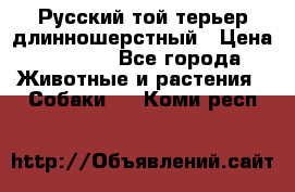 Русский той-терьер длинношерстный › Цена ­ 7 000 - Все города Животные и растения » Собаки   . Коми респ.